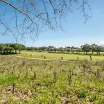 Penzion Guestready - Natural Charm On Setubal Peninsula Palmela